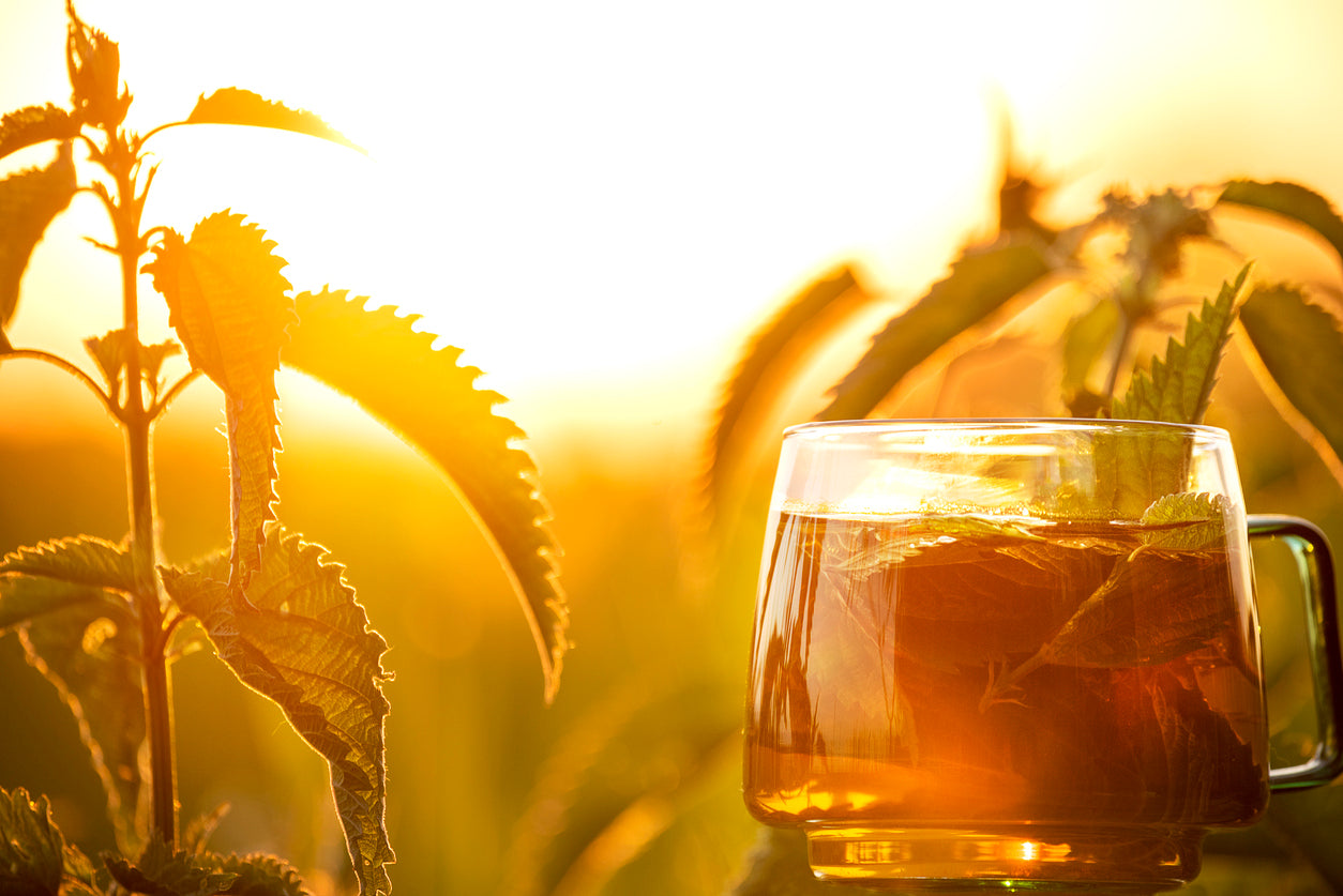The Comprehensive Guide to Tea Benefits: Health, Sleep, Weight Loss, and More