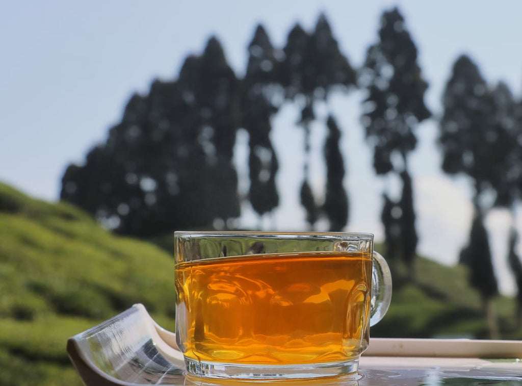 Exploring the Rich History of Darjeeling Tea and Its Unique Flavour Profile