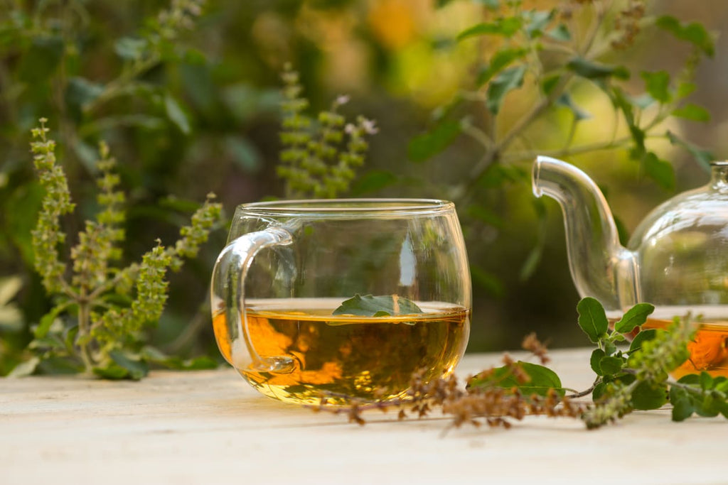 The Renaissance of Herbal Teas in Modern Wellness