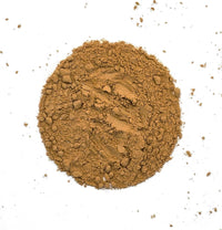 Organic 20:1 Lion’s Mane Mushroom Extract 30% Beta-Glucans