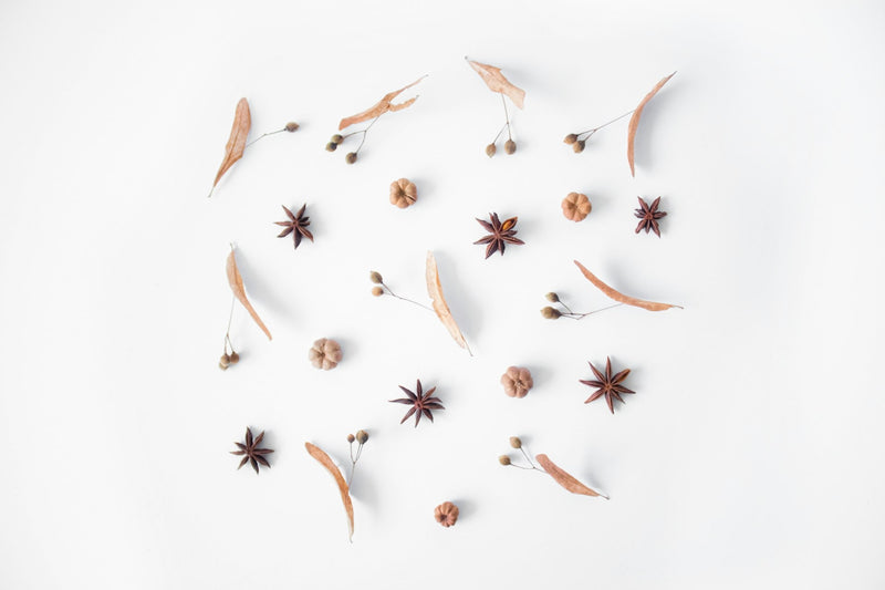 Herbs, Spices & Botanicals