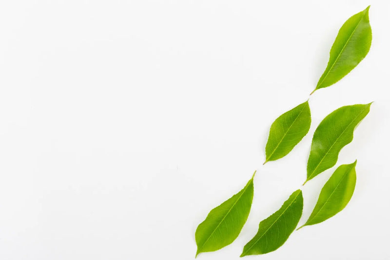 Australian certified organic tea