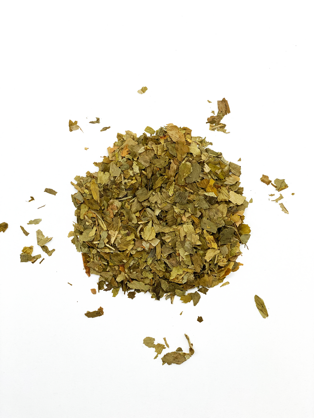Ginkgo Biloba Cut