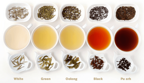 The Role of Fermentation in Oolong Tea Production