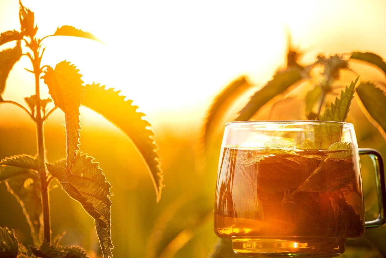 The Comprehensive Guide to Tea Benefits: Health, Sleep, Weight Loss, and More