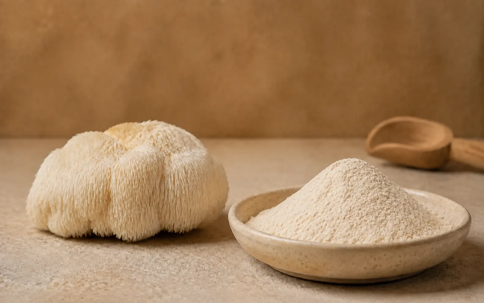 Fresh white lion’s mane mushroom beside finely milled mushroom powder in a ceramic bowl.