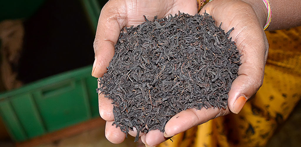 Four things you probably didn’t know about black tea