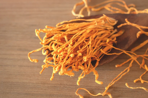 Cordyceps Mushroom Benefits: How This Powerhouse Mushroom Boosts Your Well-Being