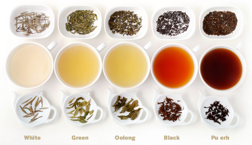The Role of Fermentation in Oolong Tea Production