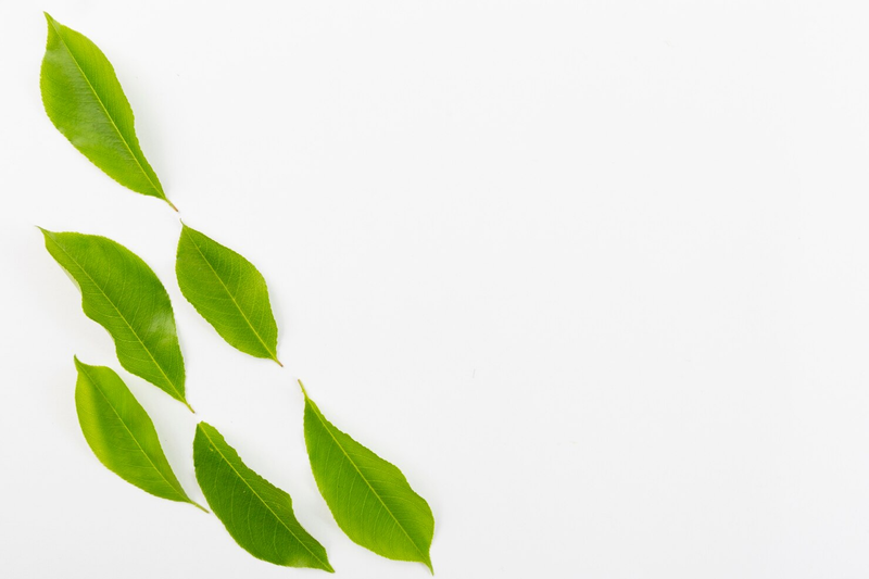 Australian certified organic tea