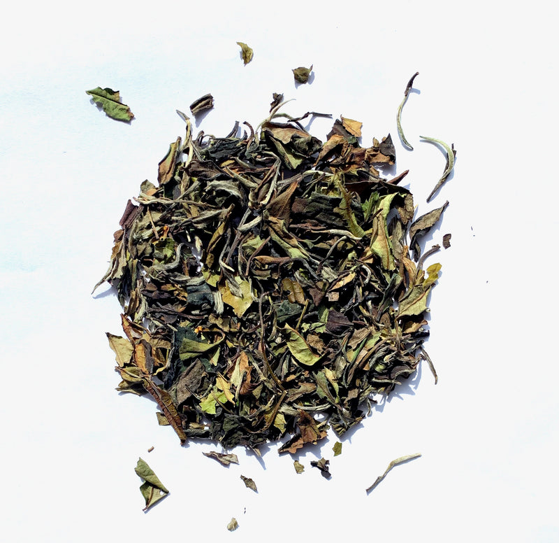 Organic White Peony Tea (Pai Mu Tan)